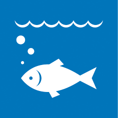 海の豊かさを守ろう